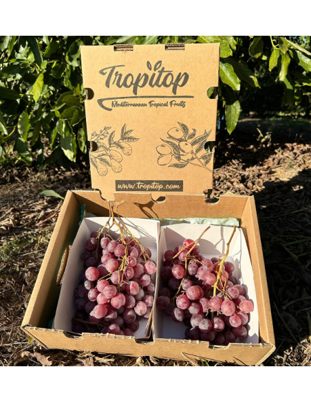 Comprar Uva Vermelha Online na Tropitop | Fresca, Doce e Direta do Campo