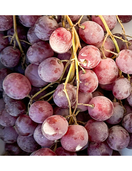 Acheter du Raisin Rouge en Ligne sur Tropitop | Frais, Sucré et Direct du Producteur