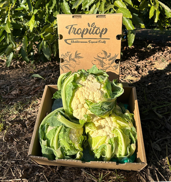 Buy Fresh Cauliflower Online | Direct from the Farmer – Tropitop