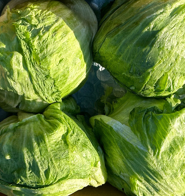 Acheter de la Laitue Iceberg en Ligne | Croquante et Fraîche – Tropitop