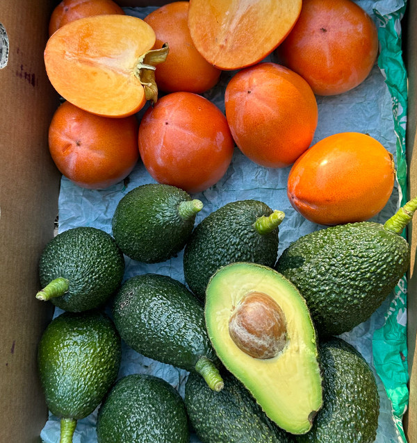 Acheter Avocats Hass et Kakis en Ligne | Mix de Fruits Frais – Tropitop