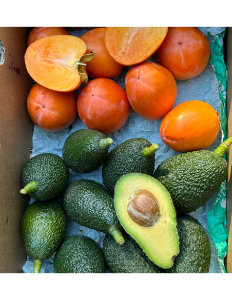 Buy Hass Avocados and Persimmons Online | Fresh Fruit Mix – Tropitop