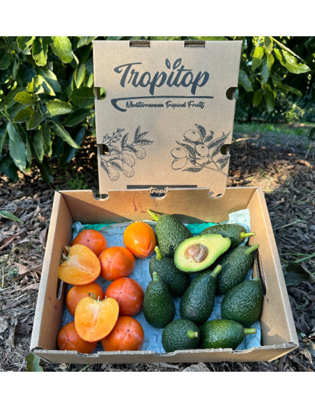 Comprar Aguacates Hass y Caquis Online | Mix de Fruta Fresca – Tropitop