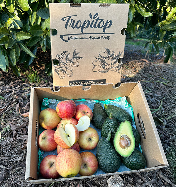 Hass-Avocados und Fuji-Äpfel online kaufen | Tropitop