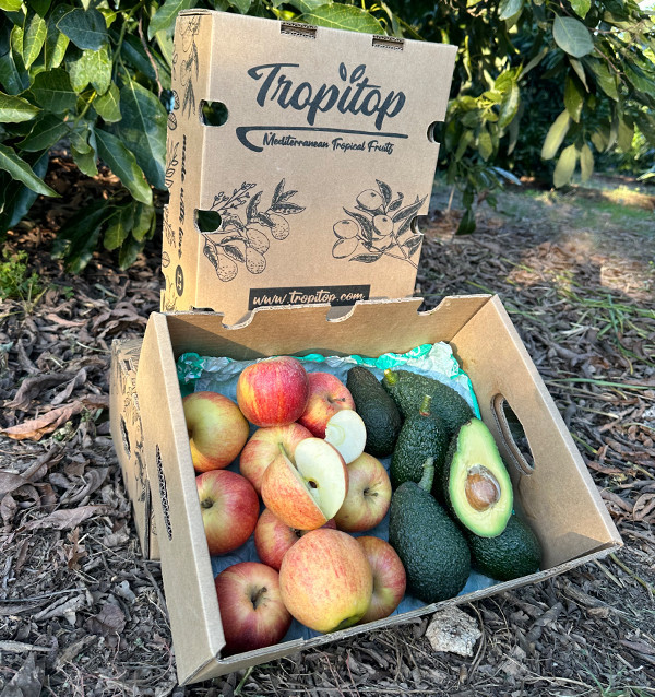 Comprar Aguacate Hass y Manzanas Fuji Online en Tropitop