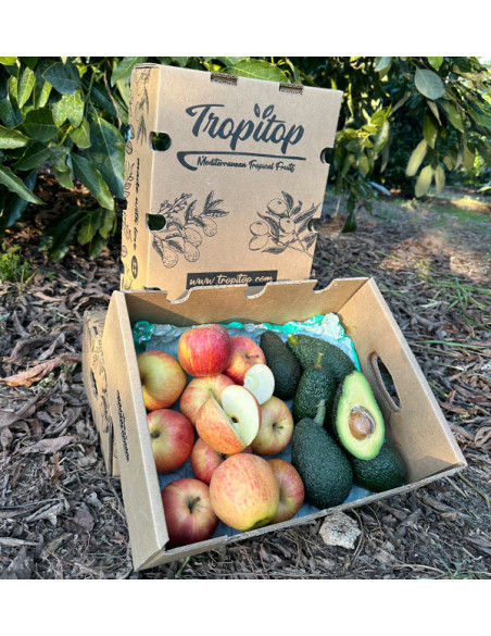 Comprar Aguacate Hass y Manzanas Fuji Online en Tropitop