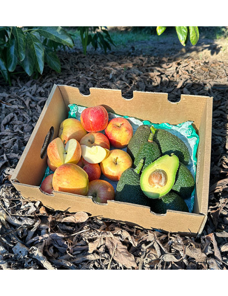 Hass-Avocados und Fuji-Äpfel online kaufen | Tropitop