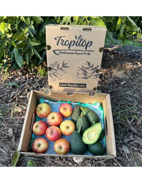 Buy Hass Avocados and Fuji Apples Online | Tropitop