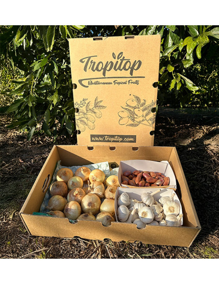 Zwiebeln, Knoblauch und Schalotten | Küchenbasics Pack – Tropitop