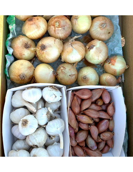 Zwiebeln, Knoblauch und Schalotten | Küchenbasics Pack – Tropitop