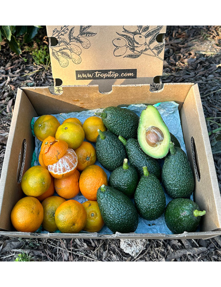 Acheter des avocats et des mandarines clémentines