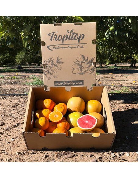 Mandarinas clementinas y pomelos directos del campo a tu casa