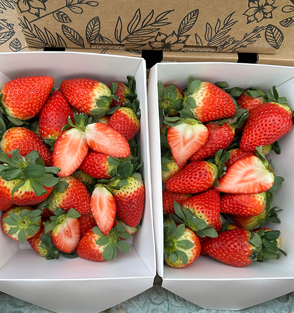 Acheter des Fraises en Ligne sur Tropitop | Directement du champ à votre table