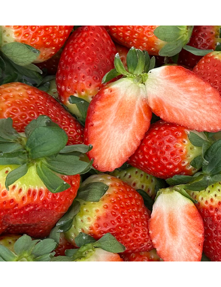 Erdbeeren Online Kaufen bei Tropitop | Direkt vom Feld auf Ihren Tisch