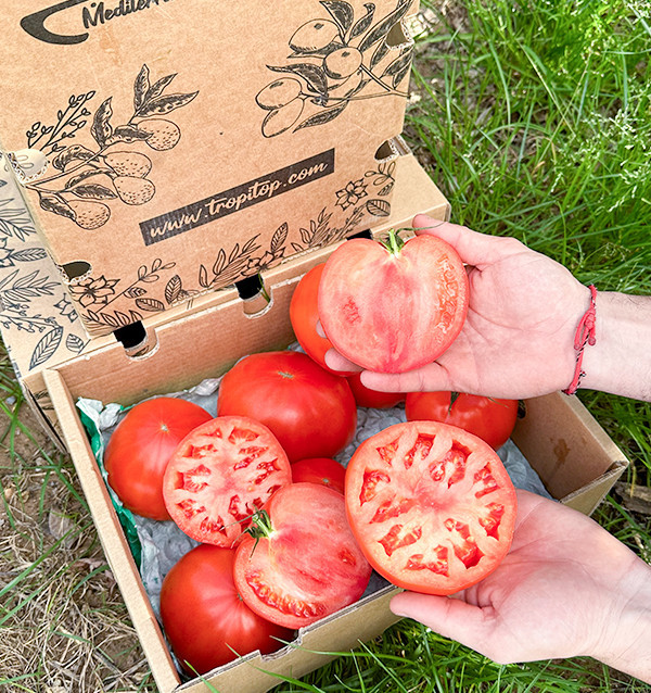 Rinderherz-Tomaten Online bei Tropitop Kaufen