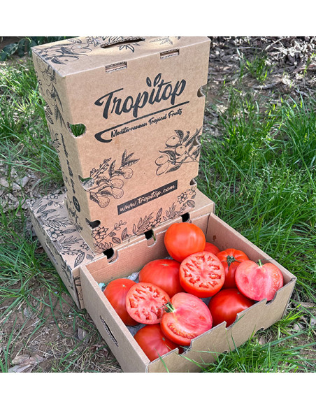 Comprar Tomate Corazón de Buey Online en Tropitop