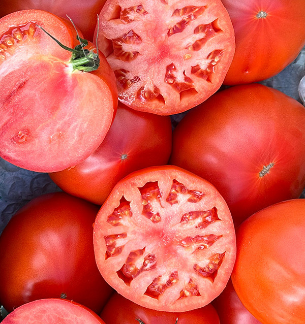Buy Oxheart Tomato Online at Tropitop