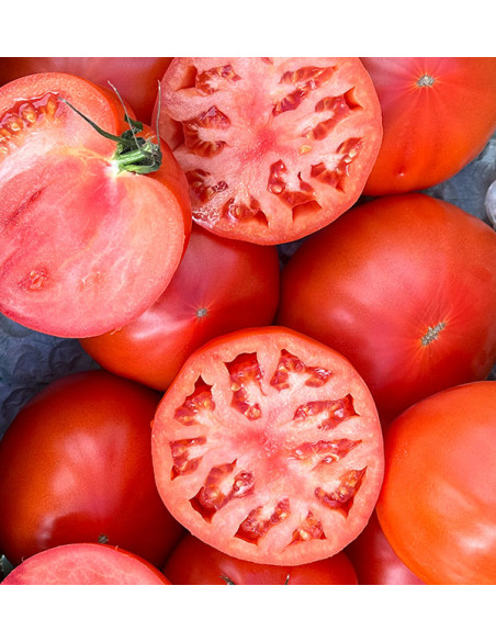 Buy Oxheart Tomato Online at Tropitop