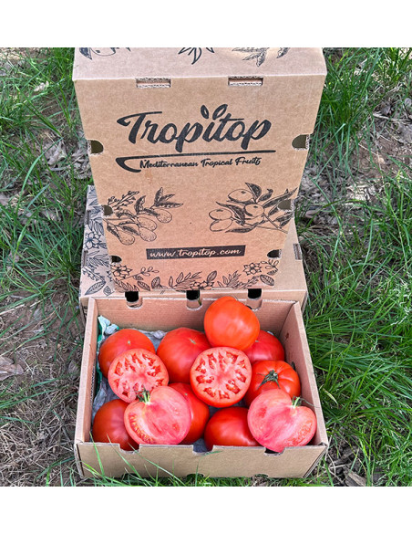 Comprar Tomate Coração de Boi Online na Tropitop
