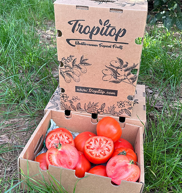 Acquista Pomodoro Cuore di Bue Online su Tropitop