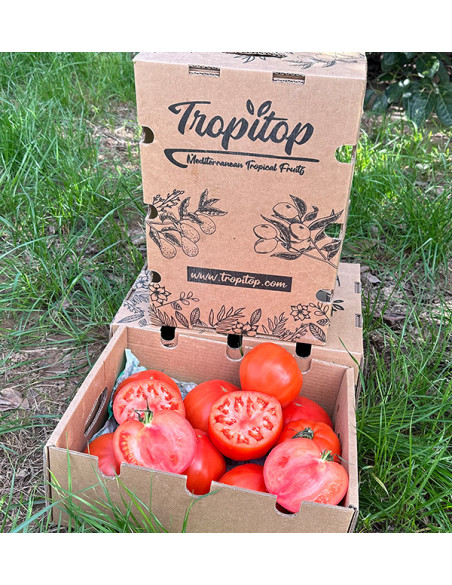 Acquista Pomodoro Cuore di Bue Online su Tropitop