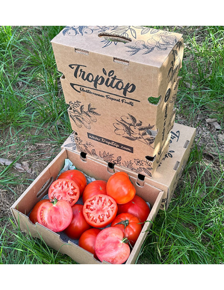 Comprar Tomate Corazón de Buey Online en Tropitop