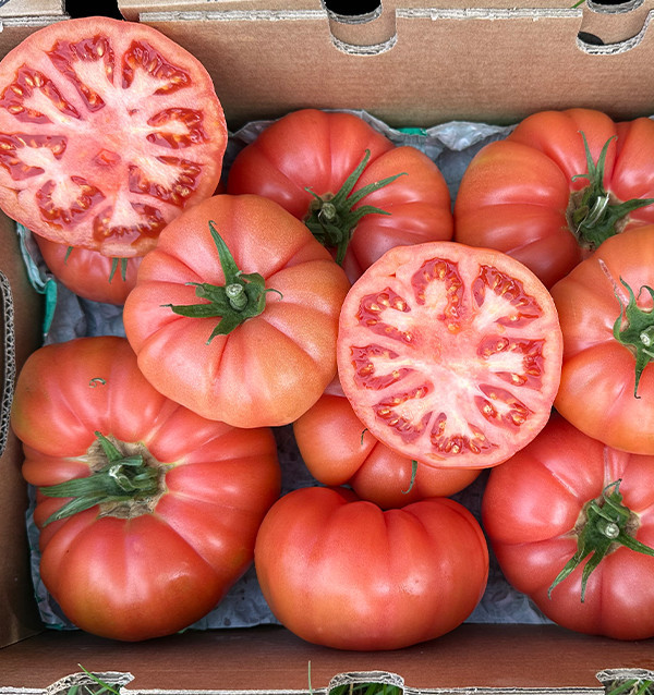 Acquista Pomodoro Rosa Online su Tropitop