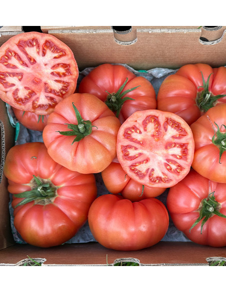 Comprar Tomate Rosa Online na Tropitop