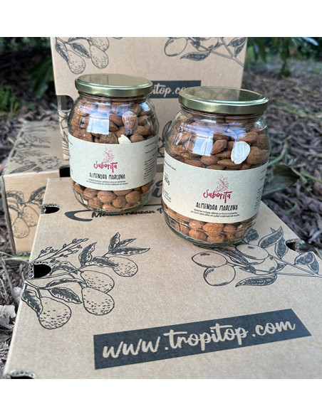 Buy Almonds Online at Tropitop
