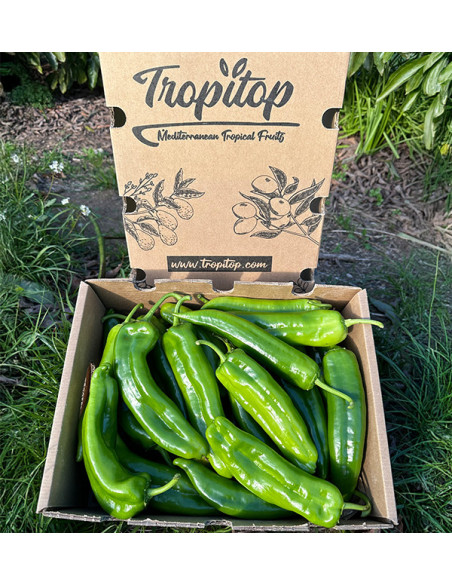 Comprar Pimientos Italianos Rojos Online en Tropitop