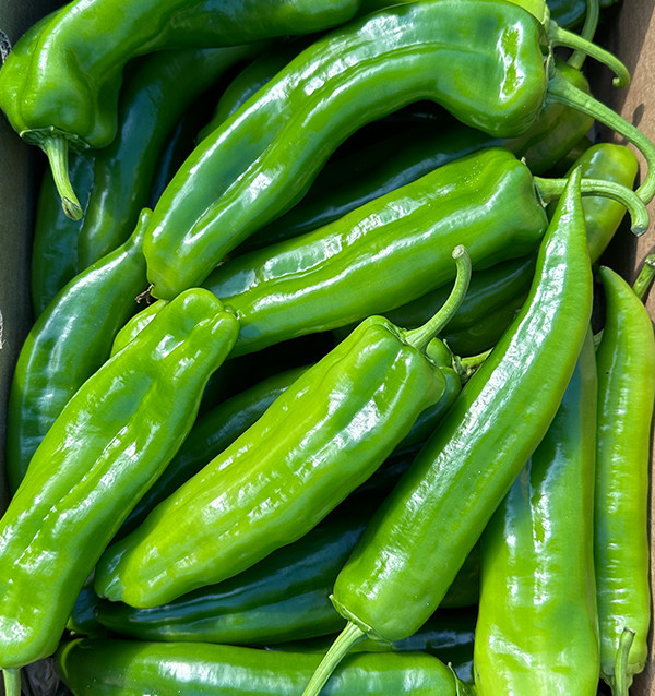 Buy Italian Red Peppers Online at Tropitop