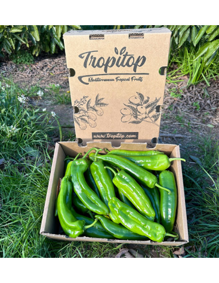 Comprar Pimientos Italianos Rojos Online en Tropitop