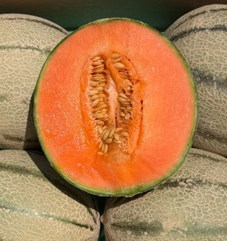 Comprar Melão Cantalupo Online | Melão Doce de Época | Tropitop