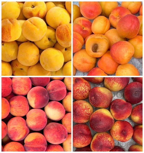 Comprar Caja de Frutas de Temporada Online en Tropitop 2