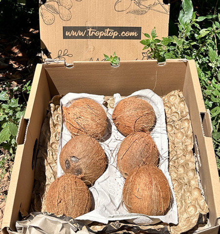 Comprar Coco Online | Coco Fresco Inteiro | Tropitop