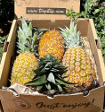 Ananas