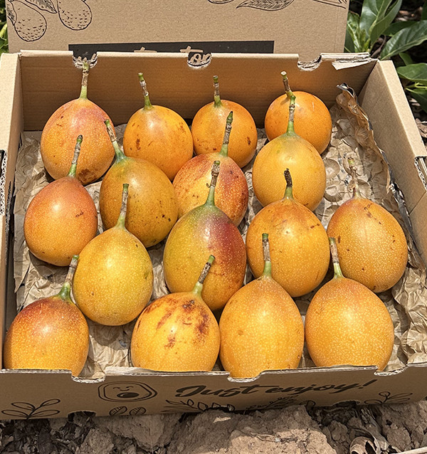 Acquistare Granadilla Online | Granadilla della Colombia | Tropitop