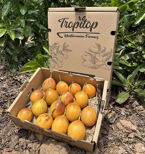 Acquistare Granadilla Online | Granadilla della Colombia | Tropitop