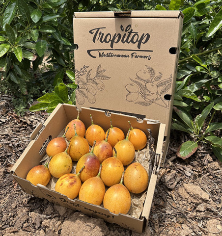 Buy Granadilla Online | Colombian Granadilla | Tropitop