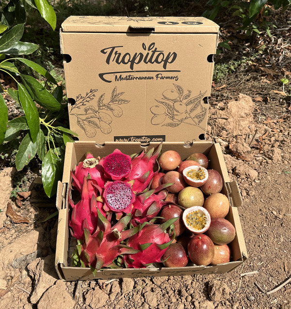 Pack de Fruta de la Pasión y Pitahaya Ecológicas | Compra Fruta Tropical Online - Tropitop
