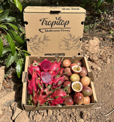 Pack Fruit de la Passion et Pitaya Bio | Achetez des Fruits Tropicaux - Tropitop