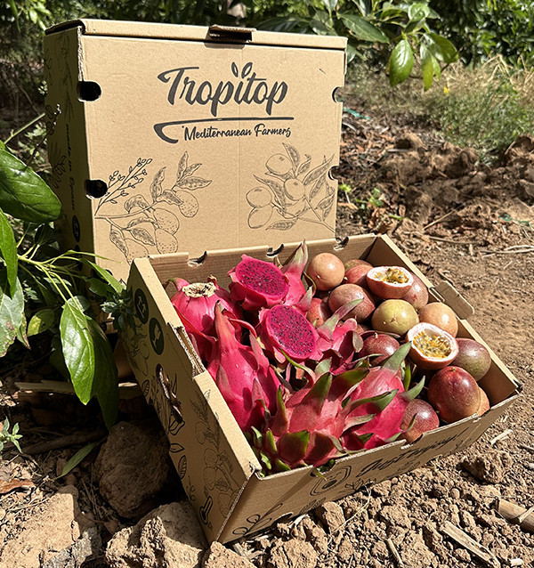 Bio-Paket Passionsfrucht und Pitahaya | Tropische Früchte online kaufen – Tropitop