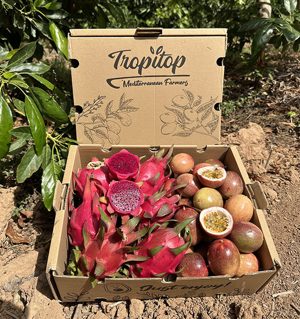 Bio-Paket Passionsfrucht und Pitahaya | Tropische Früchte online kaufen – Tropitop