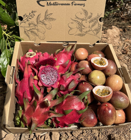Bio-Paket Passionsfrucht und Pitahaya | Tropische Früchte online kaufen – Tropitop