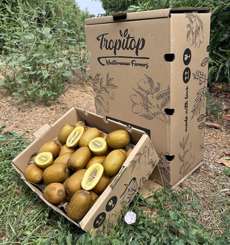 Yellow Kiwi HORECA | Yellow Kiwi Suppliers for Hotels and Restaurants