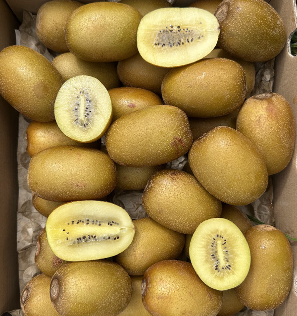 Yellow Kiwi HORECA | Yellow Kiwi Suppliers for Hotels and Restaurants