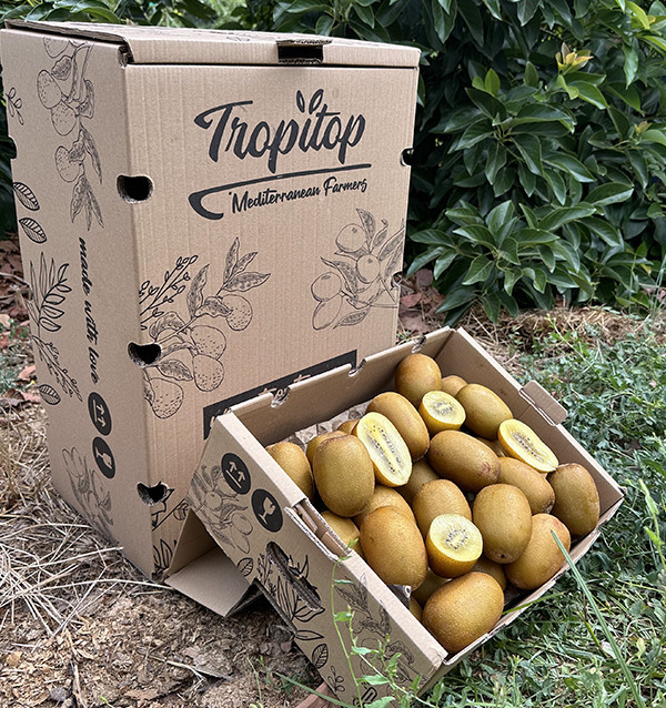 Yellow Kiwi HORECA | Yellow Kiwi Suppliers for Hotels and Restaurants