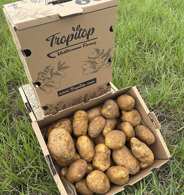 Comprar Patata Agria Online en Tropitop