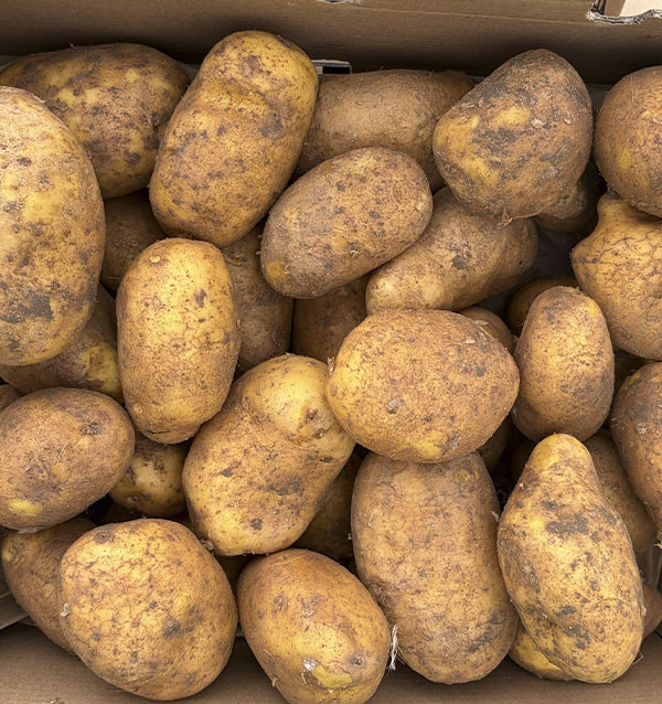 Comprar Batata Agria Online na Tropitop