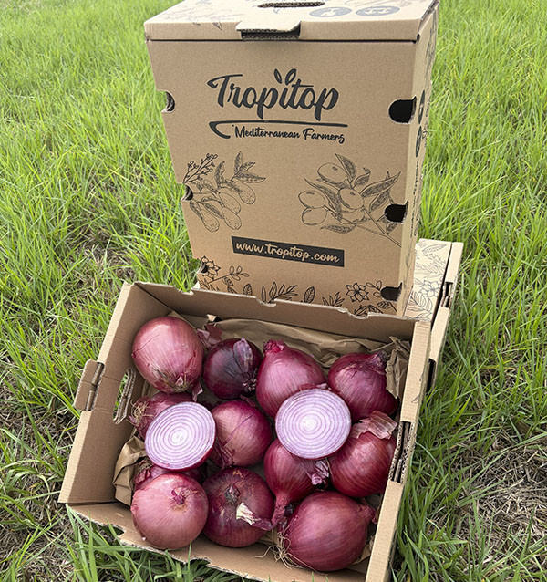 Acquista Patate Agria Online su Tropitop